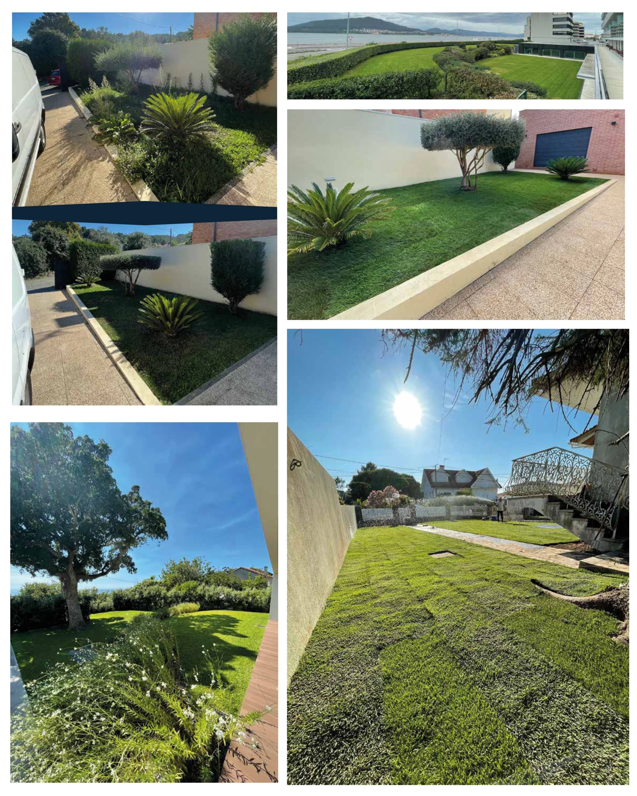 Portefólio Casa Brilho